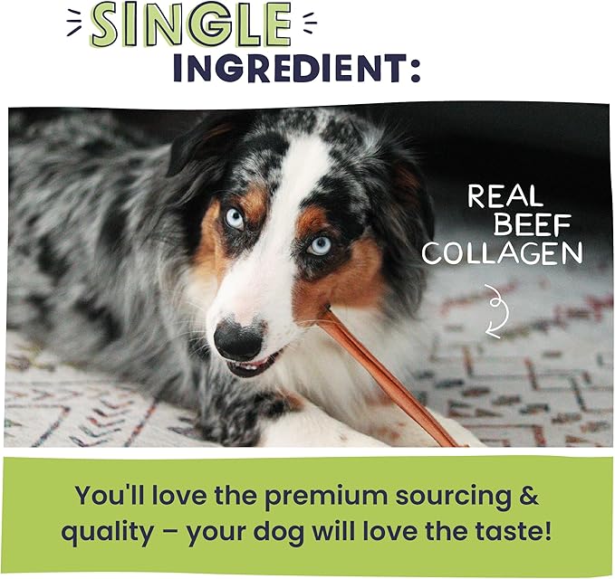 Pawstruck All Natural 5-6" Roasted Collagen Sticks for Dogs – Low Odor & Long-Lasting Bully Stick Alternative, Single Ingredient & Vet Approved – 10 Pack