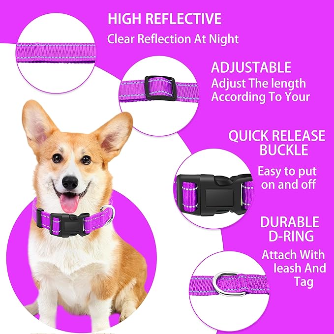 Maiiu Reflective Dog Collar with Safety Locking Buckle, Adjustable Soft Breathable Nylon Collars for Small, Medium and Large Dogs(Collar+Leash M Rosered)