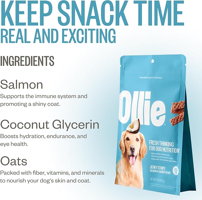 Ollie Salmon and Coconut Jerky Dog Treats, All Natural, Healthy Snacks, Made with Real Meat 5 Oz. Human Grade, Pack of 1, for Dogs