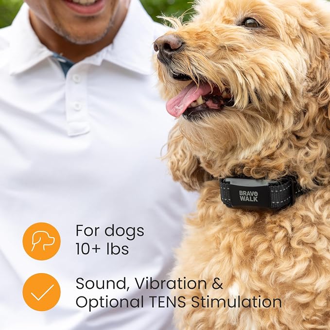 Dog Training Collar to Stop Dog from Pulling on Walks, Remote-Free (LG)