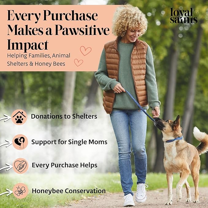 Freeze Dried Raw Dog Food - Premium Turkey and Salmon Flavor with High Protein and Grain Free Dog Food for All Breeds and Picky Eaters - Versatile as Meal Topper, Snack, and Treats, 14 Oz