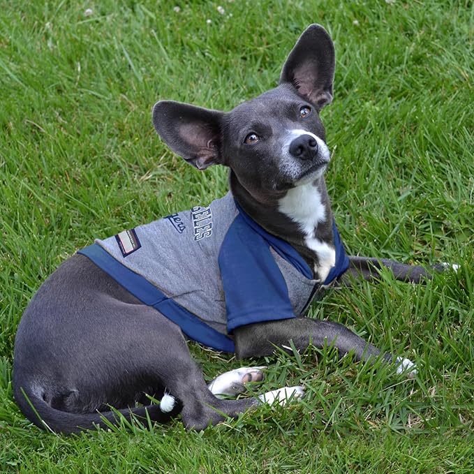MLB Hoodie Shirt for Dogs & Cats - Los Angeles Dodgers Dog Hooded T-Shirt, Large. - MLB Team Color Hoody Vest for Baseball Fans