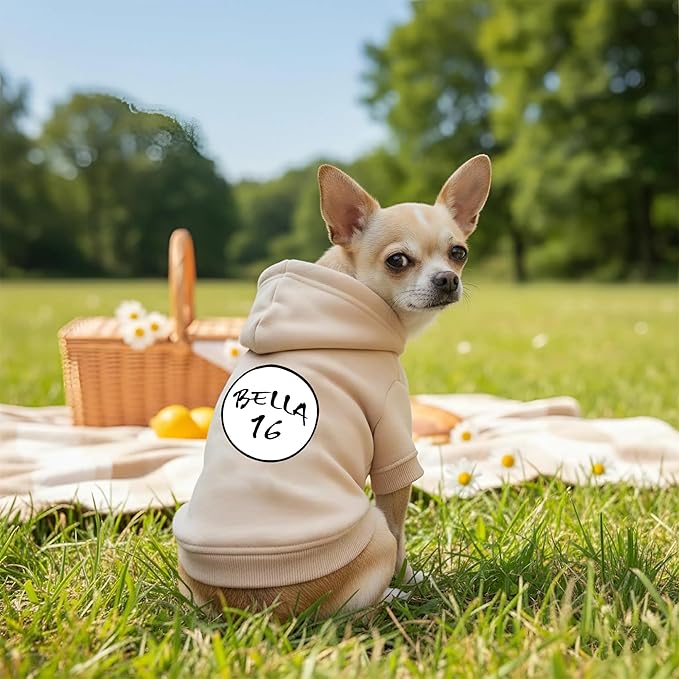 Personalized Name Dog Hoodie, Printed/Embroidered Puppy Sweater with Name/Text, Custom Security Clothes Warm Winter Dog Outfit, Bright Puppy Sweatshirt, Pet Birthday Outfit, Gift for Dogs Lovers 01