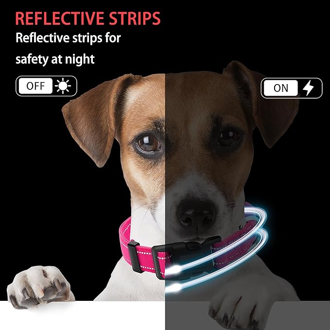 Reflective Dog Collar with Safety Locking Buckle, Adjustable Soft Breathable Nylon Collars for Small, Medium and Large Dogs(Collar+Leash L Hotpink)