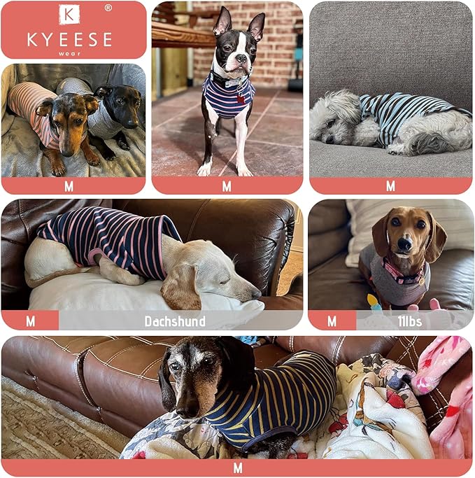 KYEESE 2Pack Dog Sweater Soft Dogs Clothes Warm Pets Clothes Turtleneck Pet Coats Stretchy Pet Sweatshirt Dog Sweaters for Small Dogs Girl Pullover Small Pets Sweaters