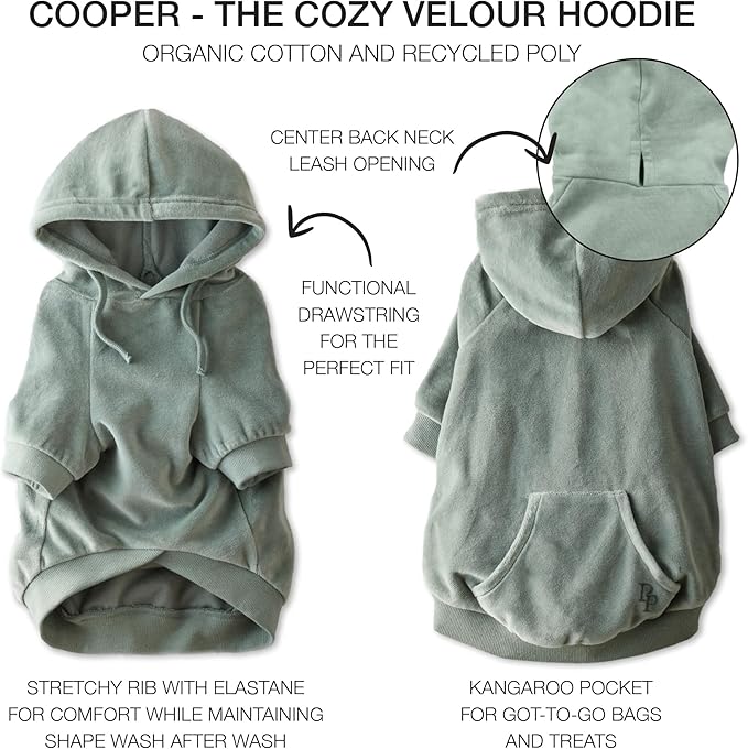 Cooper II Organic Cotton Velour Dog Hoodie Pet Coat for Small, Medium and Large Dogs, Sage, X-Large (55-80 lbs)