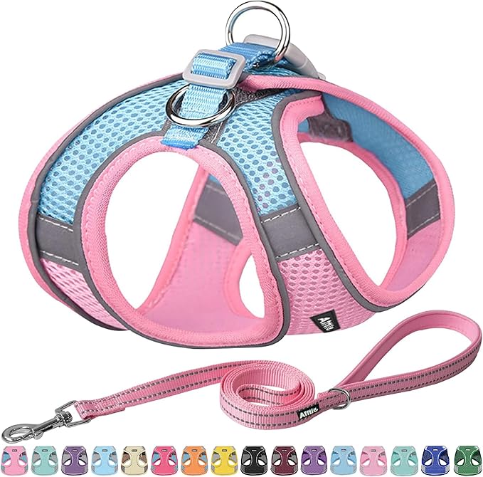 AIITLE No Pull Dog Harness and Leash Set, Step in Adjustable Dog Harness with Padded Vest for All Weather, Dog Leash with Soft Padded Handle, Easy to Put on Small and Medium Dogs Pink S
