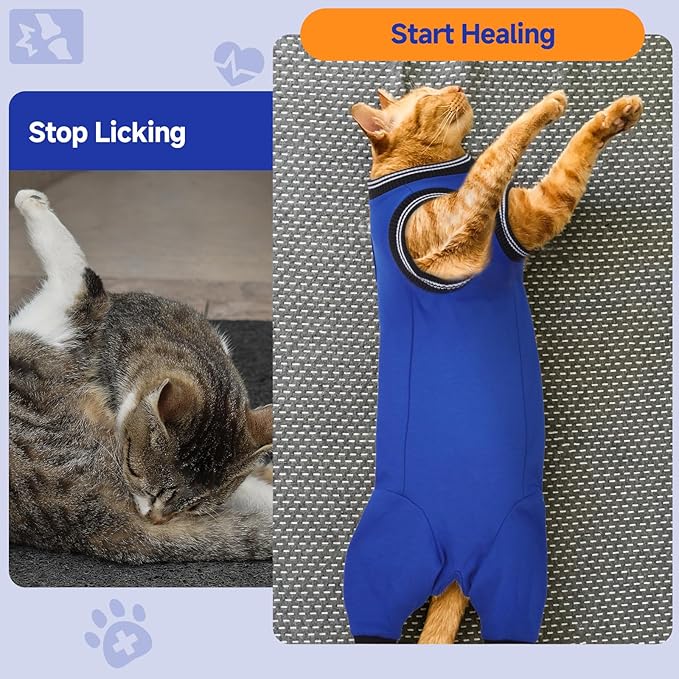 Stress-Free Cat Recovery Suit for Female Cats - Vet-Backed E-Collar Alternative, Anti-Lick & Rear Access Design RoyalBlue S