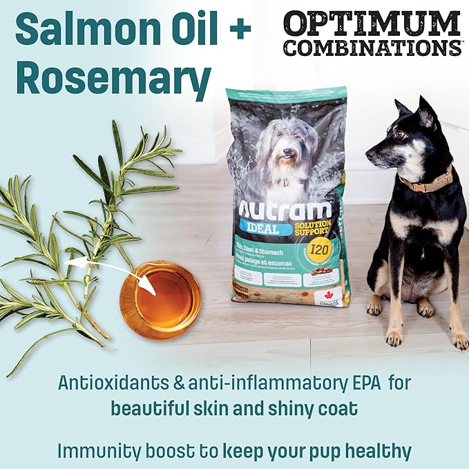 I20 Lamb Dog Food with Brown Rice - Skin, Coat & Sensitive Stomach Dog Food with Pumpkin, Omega-3 Rich Salmon Oil & Rosemary For Shiny Coat & Immunity - Chicken Free Kibble For Adults (4.4 lbs)