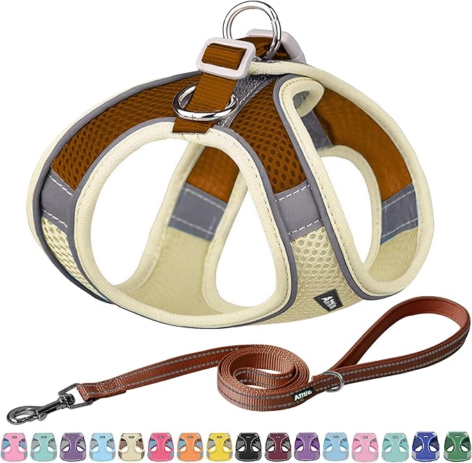 AIITLE No Pull Dog Harness and Leash Set, Step in Adjustable Dog Harness with Padded Vest for All Weather, Dog Leash with Soft Padded Handle, Easy to Put on Small and Medium Dogs Beige S