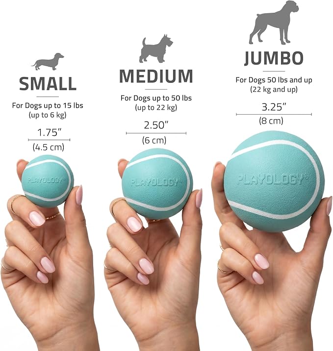 Playology Squeaky Chew Ball for Large Dogs - Jumbo, Peanut Butter Scent
