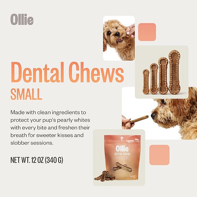 Ollie Dental Chews for Small Dogs, 12 Oz, Fresh Breath, Teeth Cleaning Treats, Sticks for Dog Oral Care, with Parsley and Cinnimon, for Pups 16-25 lbs