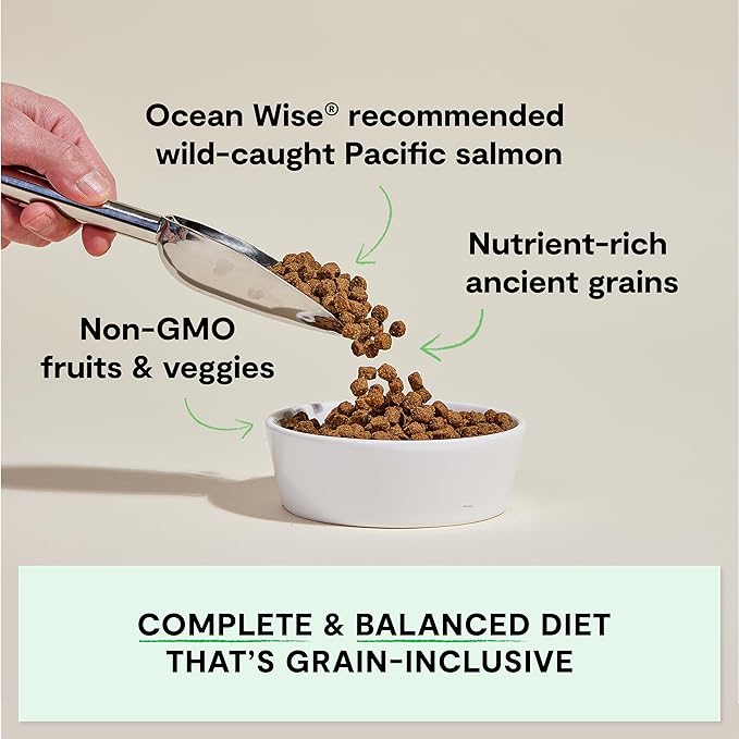 Open Farm, Ancient Grains Dry Dog Food, Protein-Rich & Nutrient Dense, 90% Animal Protein Mixed with Non-GMO Fruits, Veggies and Superfoods, Wild Caught Salmon Recipe, 22lb Bag