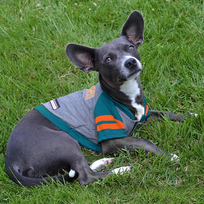 Pets First NFL Miami Dolphins Hoodie for Dogs & Cats. | NFL Football Licensed Dog Hoody Tee Shirt, Medium| Sports Hoody T-Shirt for Pets | Licensed Sporty Dog Shirt