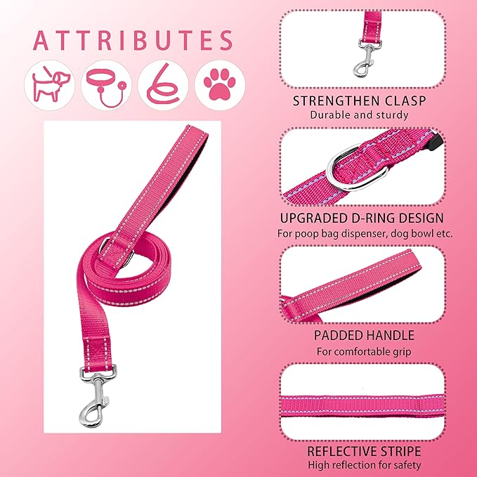 Reflective Dog Collar with Safety Locking Buckle, Adjustable Soft Breathable Nylon Collars for Small, Medium and Large Dogs(Collar+Leash XS Width 3/8" Hotpink)