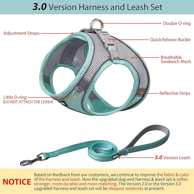 AIITLE Easy Walk Dog Harness and Leash Set - Pet Supply No Pull, Step in Adjustable Pet Harnesses with Padded Vest for Summer, No Choke Over, Easy to Put on Medium Dogs Turquoise L