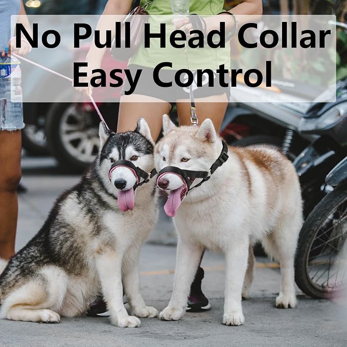 Dog Head Collar, Fabric Padded Head Collar for Dogs to Prevent Pulling, Adjustable Dog Head Harness (M,Blue)