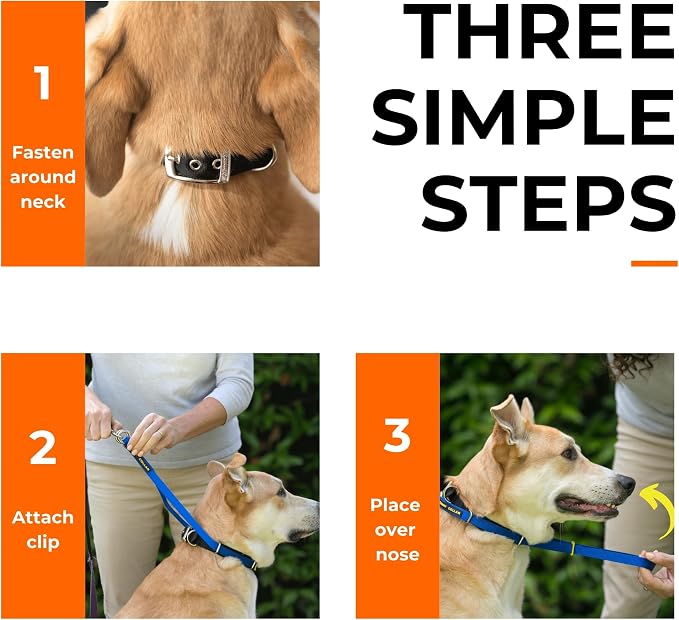 Canny Gentle No-Pull Dog Training Head Collar to Stop Pulling Black Size 2