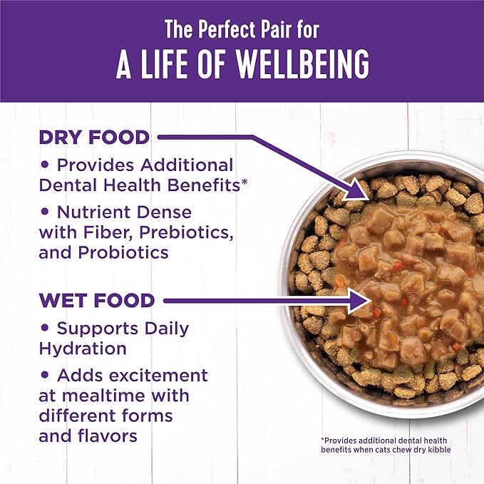 Wellness Complete Health Gravy Adult Wet Cat Food, Natural, Protein-Rich, Grain Free, 3 Ounce, 12 Pack, (Salmon Entree)