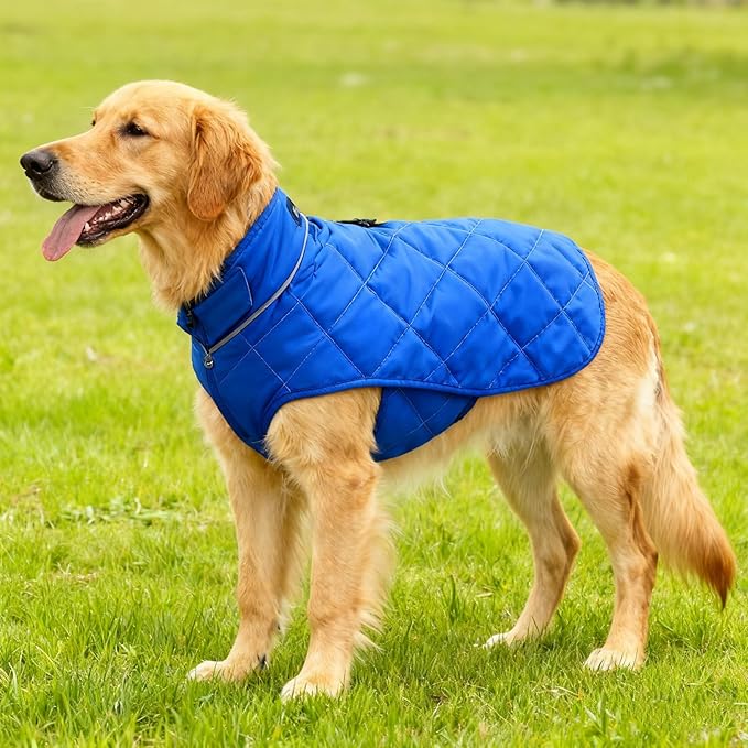 Weighted Dog Vest, Tactical Weight Coat with Beads for Dogs Anxiety- Relieve Stress, Build Muscle & Optimize Health, Premium Heavy Duty Dog Training Jacket for Exercise and Strength (Blue, XXL)
