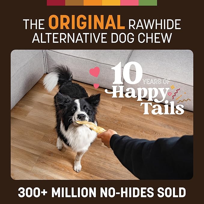 Earth Animal No Hide Strips - Natural Rawhide Free Dog Chew Strips, Chicken - 10 Count Value Pack