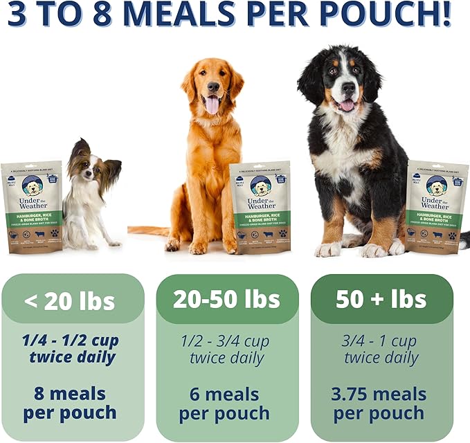 Under the Weather Bland Diet for Dogs | Easy to Digest for Sick Dogs | Always Be Ready | Contains Electrolytes - Natural Freeze Dried 100% Human Grade Meats| 1 Pack- Rice, Hamburger & Bone Broth - 6oz