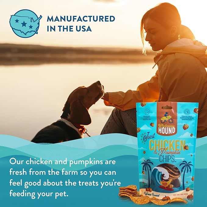 Chicken & Pumpkin Chips – Single Ingredient Dog Treats, All Natural & Healthy Training Snacks for Small, Medium & Large Breeds, Puppies – High Protein, Made in USA 3oz