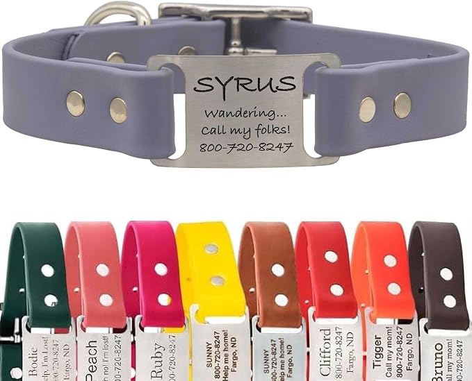 dogIDs Personalized Dog Collar – ScruffTag Custom Waterproof Biothane Dog Collar with Laser-Engraved Name, Durable & Odor-Resistant – USA Made | Grey, 1 in x 22 in (Fits Neck Sizes 20-24 in)