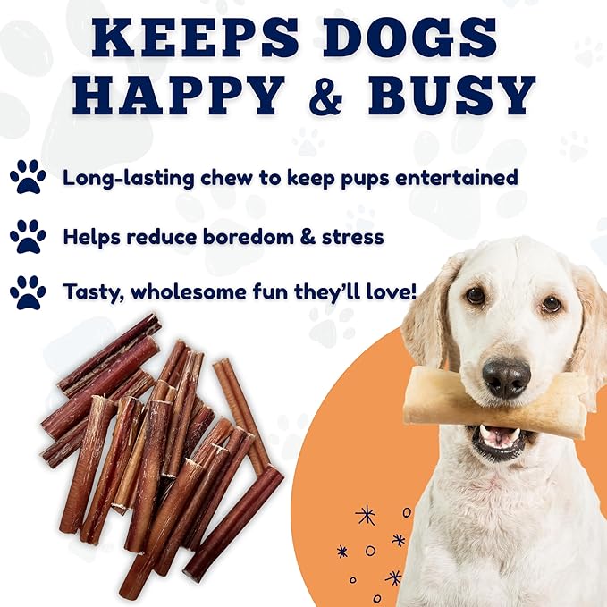 Amazing Dog Treats - 6 Inch Medium Size Bully Sticks (10 Count) - Bulk Bully Sticks for Dogs - No Hide Bully Stick Dog Bones