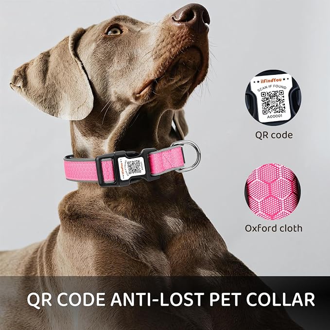 Personalized Dog Collar with QR Code Dog Tag, Oxford Pink M | Anti-lost, Oxford, reflective, padded, XS-L(8"-24"), QR buckle shares lost pet profile, location alerts when scanned, No Fees