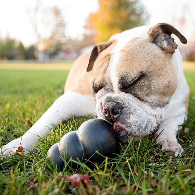 KONG Extreme Dog Toy, Durable Natural Rubber Chew, for Large Dogs