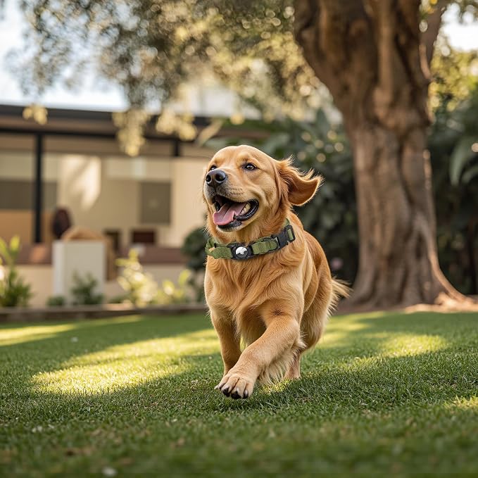 Tactical AirTag Dog Collar Leash Set - Heavy Duty, Adjustable GPS Collar