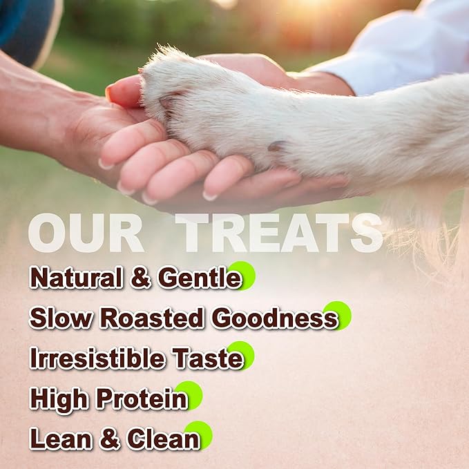 Afreschi Chicken Jerky Dog Treats, All Natural, High-Protein, Healthy & Easily Digestible, Grain-Free Puppy Chews, Human Grade Training & Rewards Dog Snacks, Chicken Fillet, 16 oz Pack