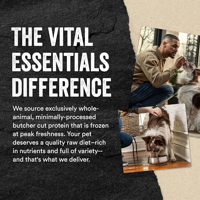 Vital Essentials Freeze Dried Raw Protein Mix-in Dog Food Topper, Duck Mini Nibs Topper for Dogs, 18 oz
