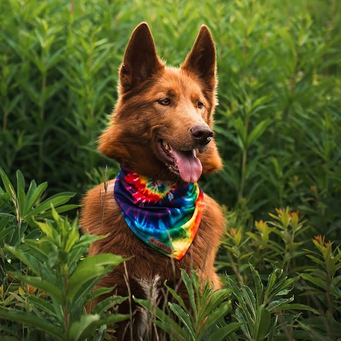 Wilderdog Dog Bandana with Lightweight Quick Drying Poly-Blend Mesh Material in Tiedye