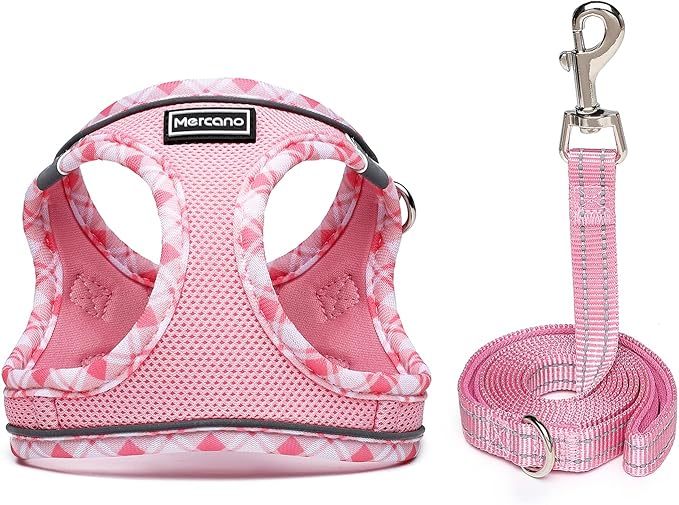 Mercano Soft Mesh Dog Harness and Leash Set, No-Chock Step-in Reflective Breathable Lightweight Easy Walk Vest Harnesses with Safety Buckle for Small Dogs, Cats (Pink, L)