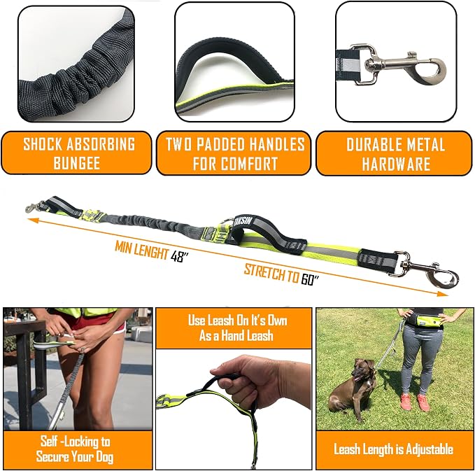 TAKSIN The Ultimate Hands Free Two Dogs Double Leash System for Walking Running Hiking Training, Reflective Bungee Leash, Treat Holder, Poop Bag Dispenser Small Medium Large Dogs (Yellow Deluxe Pack)