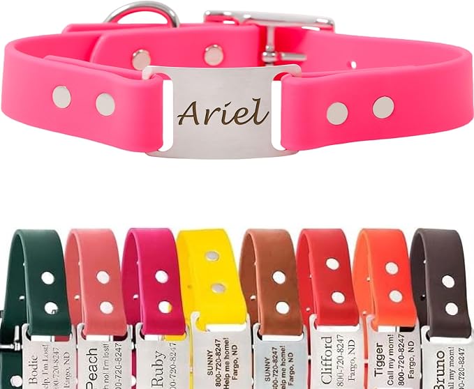 dogIDs Personalized Dog Collar – ScruffTag Custom Waterproof Biothane Dog Collar with Laser-Engraved Name, Durable & Odor-Resistant – USA Made | Pink, 1 in x 20 in (Fits Neck Sizes 18-22 in)