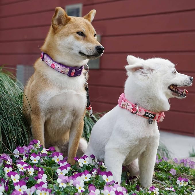 Blueberry Pet Soft & Comfy Peony Flower Print Neoprene Padded Adjustable Dog Collar, Mauve, Small, Neck 12"-16"