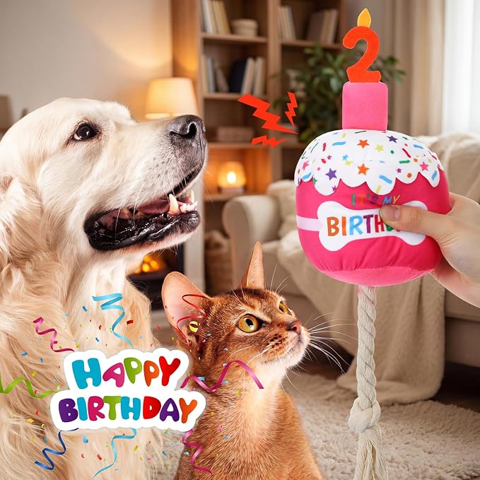 Dansydaisy Dog Birthday Cake Toy Squeaky Plush Gift,2nd,Rose Pink
