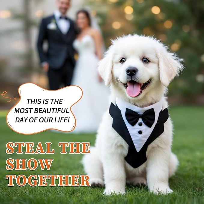 Dog Tuxedo for Wedding, Pet Tuxedo Suit with Bow Tie, Pet Costumes for Small Dogs, Formal Party Attire for Halloween Christmas, Medium, Black White