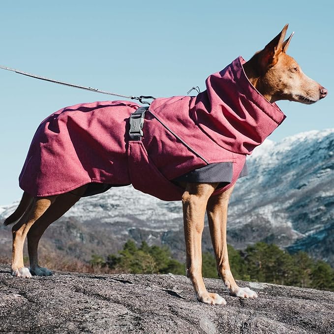 Hurtta Expedition Parka, Winter Dog Coat, Beetroot, 14 in
