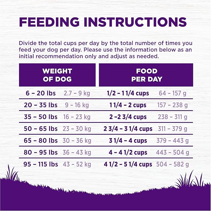 Wellness Natural Pet Food Complete Health Natural Grain Free Dry Dog Food, Chicken, 24-Pound Bag