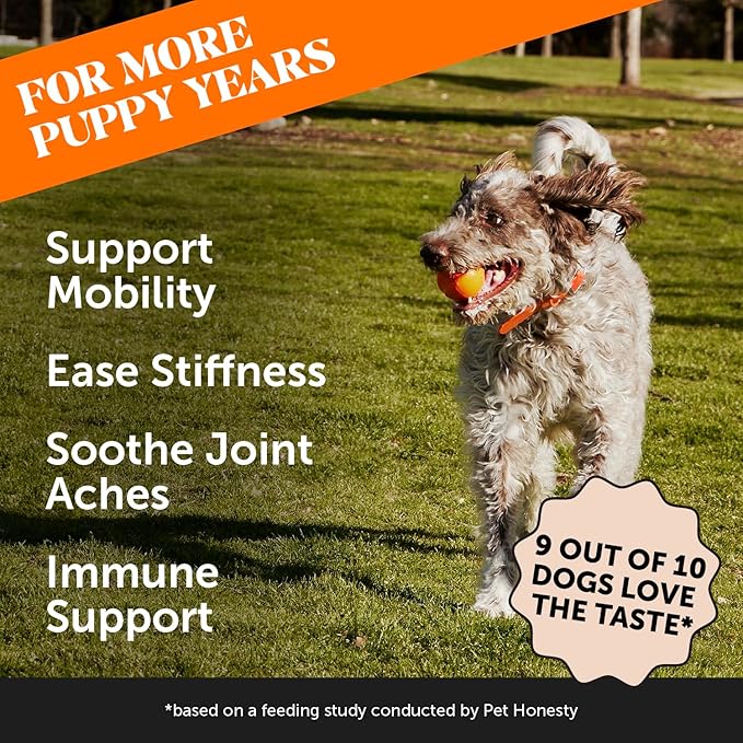 Pet Honesty Hip & Joint Turmeric Health - Joint Supplement for Dogs, Omega-3 Fish Oil, Turmeric to Support Overall Health & Ease Stiffness - Advanced Pet Mobility Support - 90 Ct (Pumpkin)