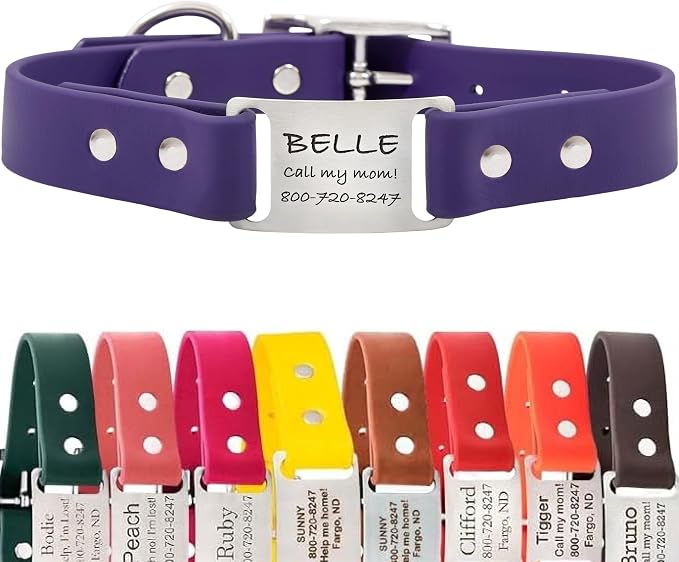 dogIDs Personalized Dog Collar – ScruffTag Custom Waterproof Biothane Dog Collar with Laser-Engraved Name, Durable & Odor-Resistant – USA Made | Purple, 1 in x 18 in (Fits Neck Sizes 16-20 in)