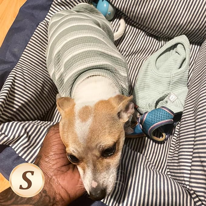 KYEESE 2Pack Waffle Dog Shirts for Small Dogs Stretchy T-Shirts Lightweight Tank Top Sleeveless Striped Shirt Vest Breathable Cat Shirt, Small, Orange+Striped