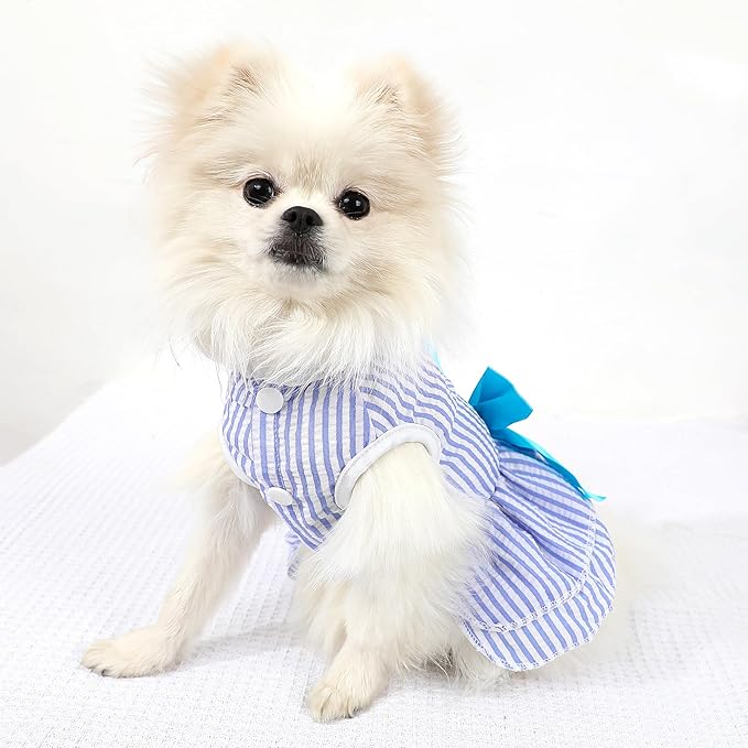 Dog Dress, Cute Pet Princess Dresses with Bright Color Design, Sweet Bowknot, Dog Clothes for Small Dogs Girl, Breathable & Lightweight, for Spring Summer, 2 Pack (Green Blue, Small)