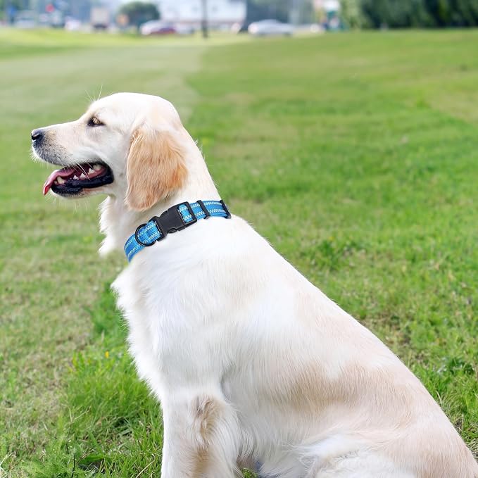 Mile High Life Reflective Dog Collar, Basic Dog Collars Adjustable Quick Release, Soft Nylon Pet Collar with Metal D-Ring for Small Medium Large Dogs (Hot Blue, L Neck15-19")