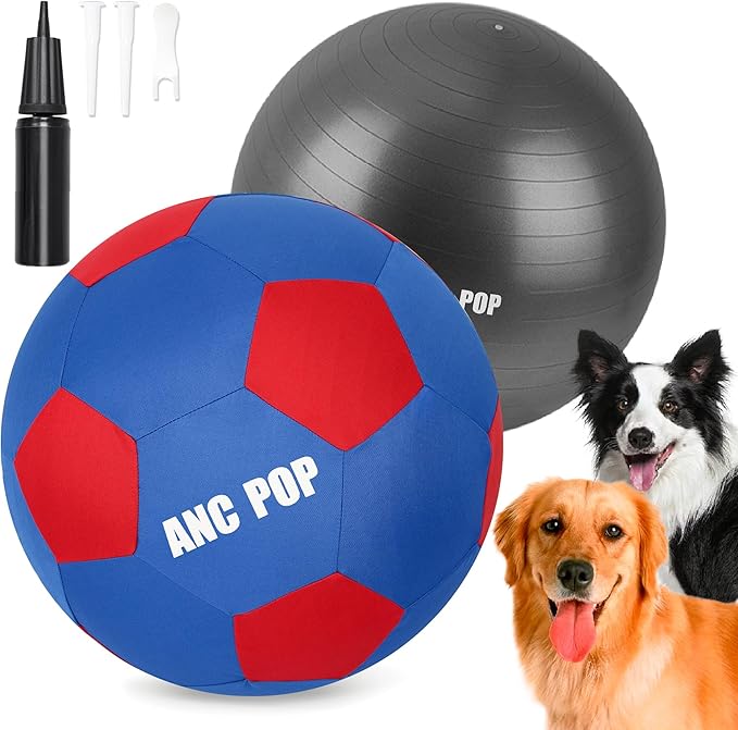 Herding Ball for Dogs & Horses - 20" Ball with Hand Pump - Blue & Red