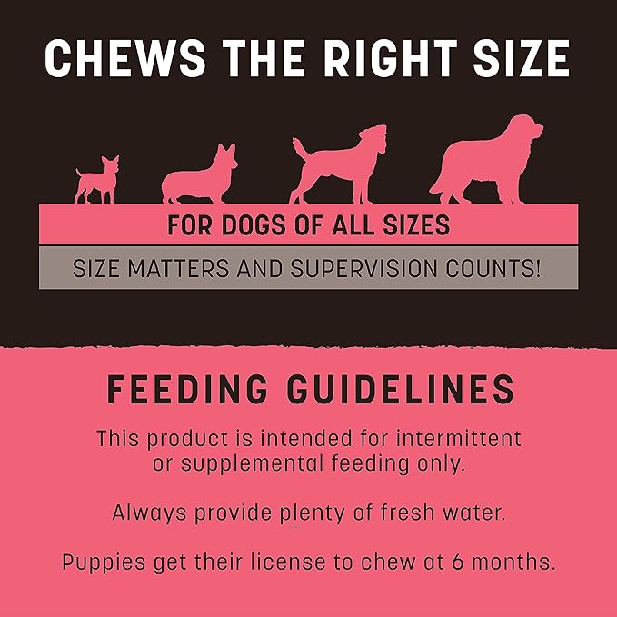 Earth Animal No Hide Strips - Natural Rawhide Free Dog Chew Strips, Salmon Free - 16 Count